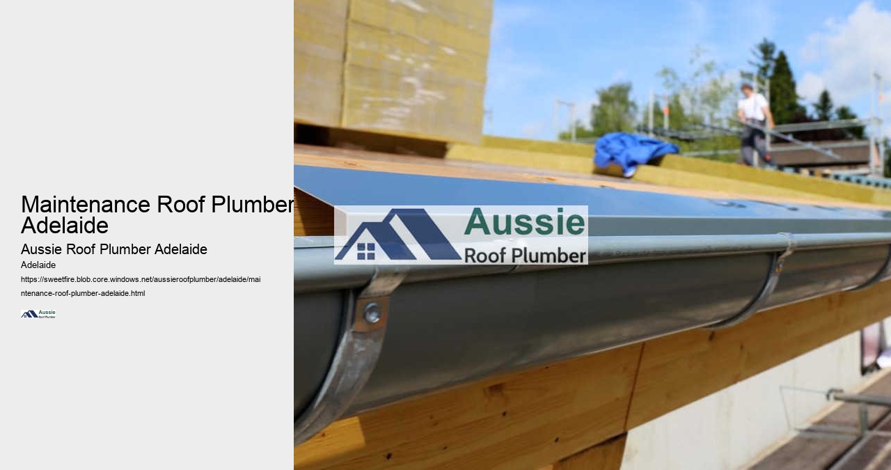 Maintenance Roof Plumber Adelaide