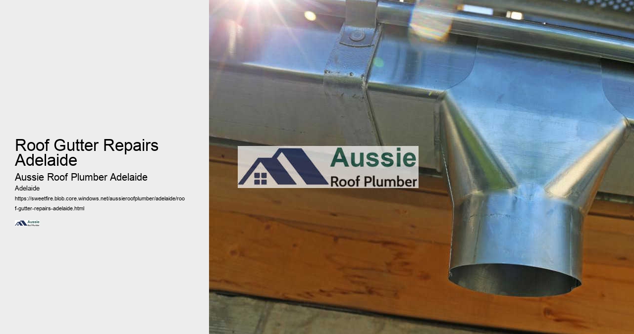 Roof Gutter Repairs Adelaide