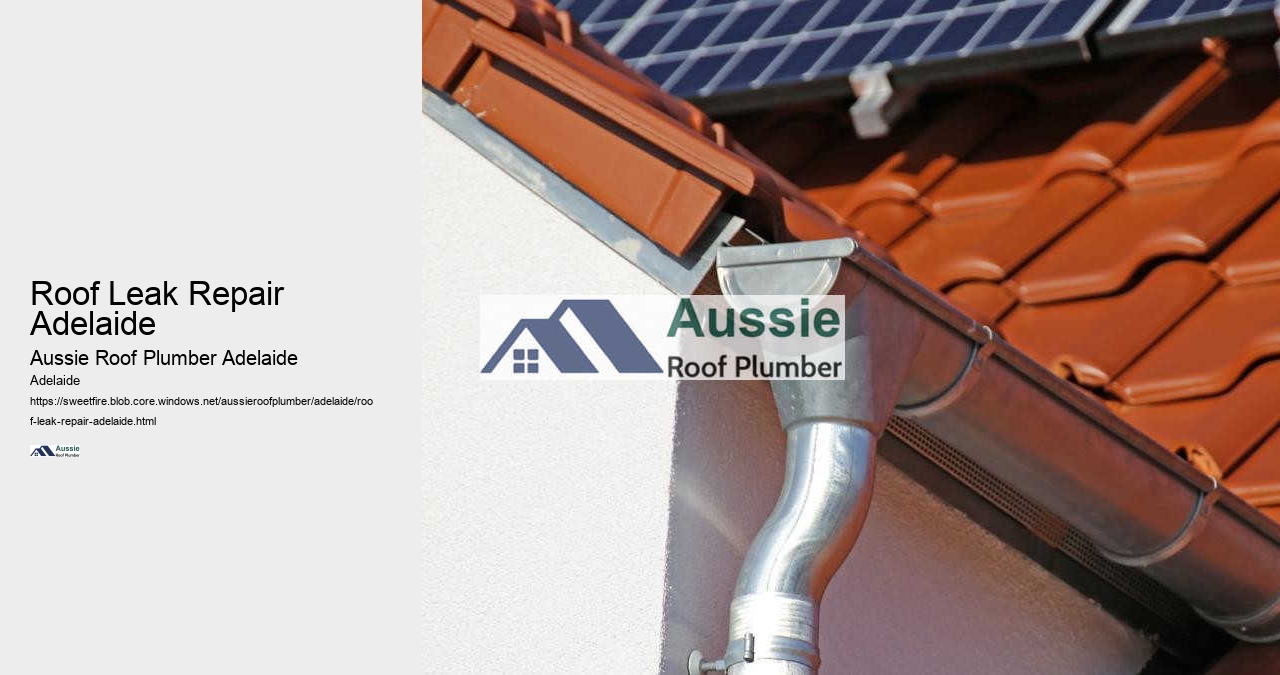 Roof Leak Repair Adelaide