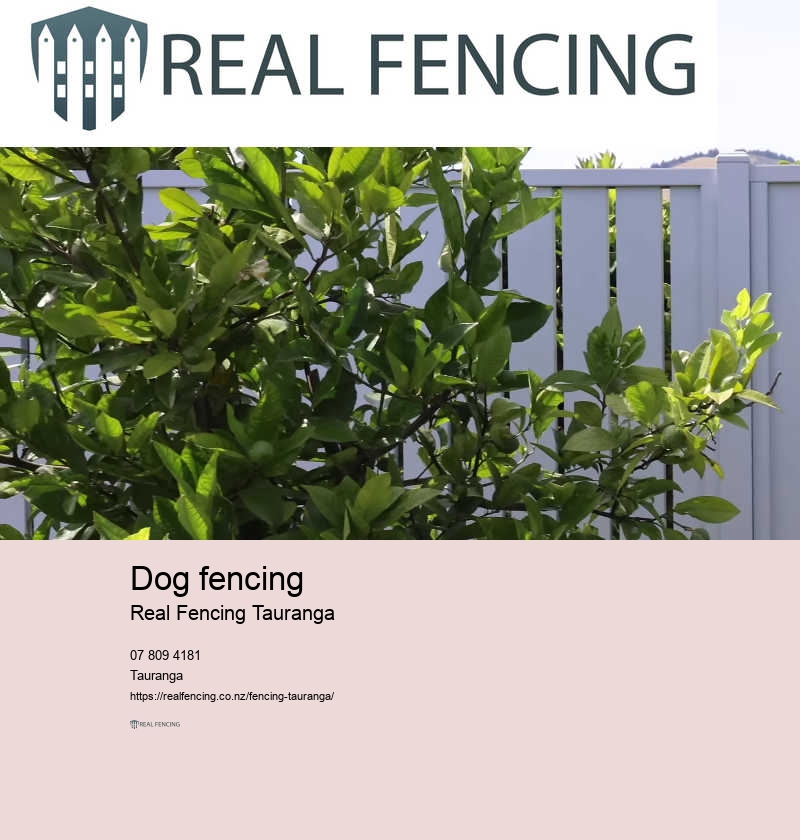 Fence repair Tauranga