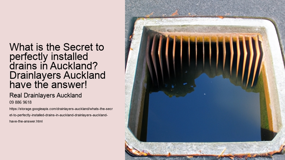 What's the secret to perfectly installed drains in Auckland? Drainlayers Auckland Have the Answer!