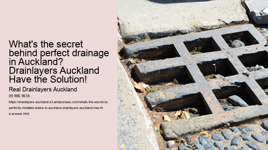 What's the secret to perfectly installed drains in Auckland? Drainlayers Auckland Has the Answer!
