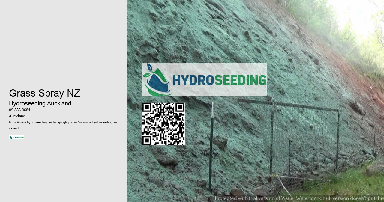 Hydroseeding Slope Management NZ