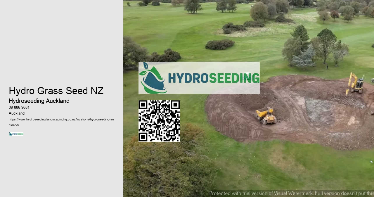 Hydroseeding Cost NZ