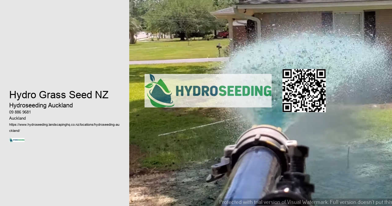 Hydro Grass Seed NZ