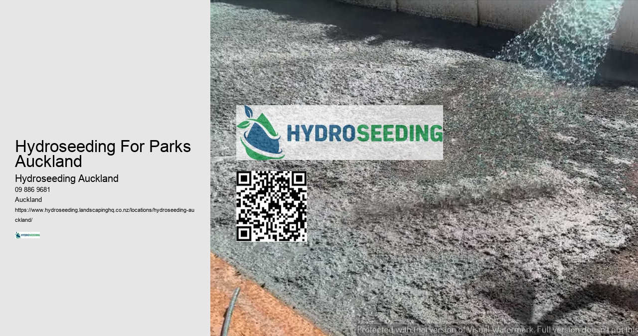 Professional Lawn Seeding Auckland