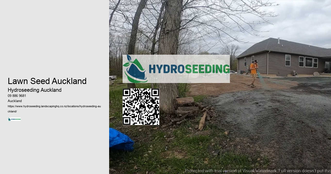 Hydroseeding For Construction Sites Auckland