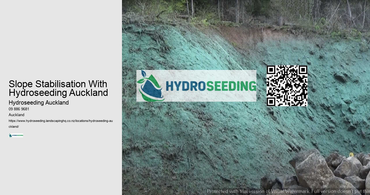 Slope Stabilisation With Hydroseeding Auckland