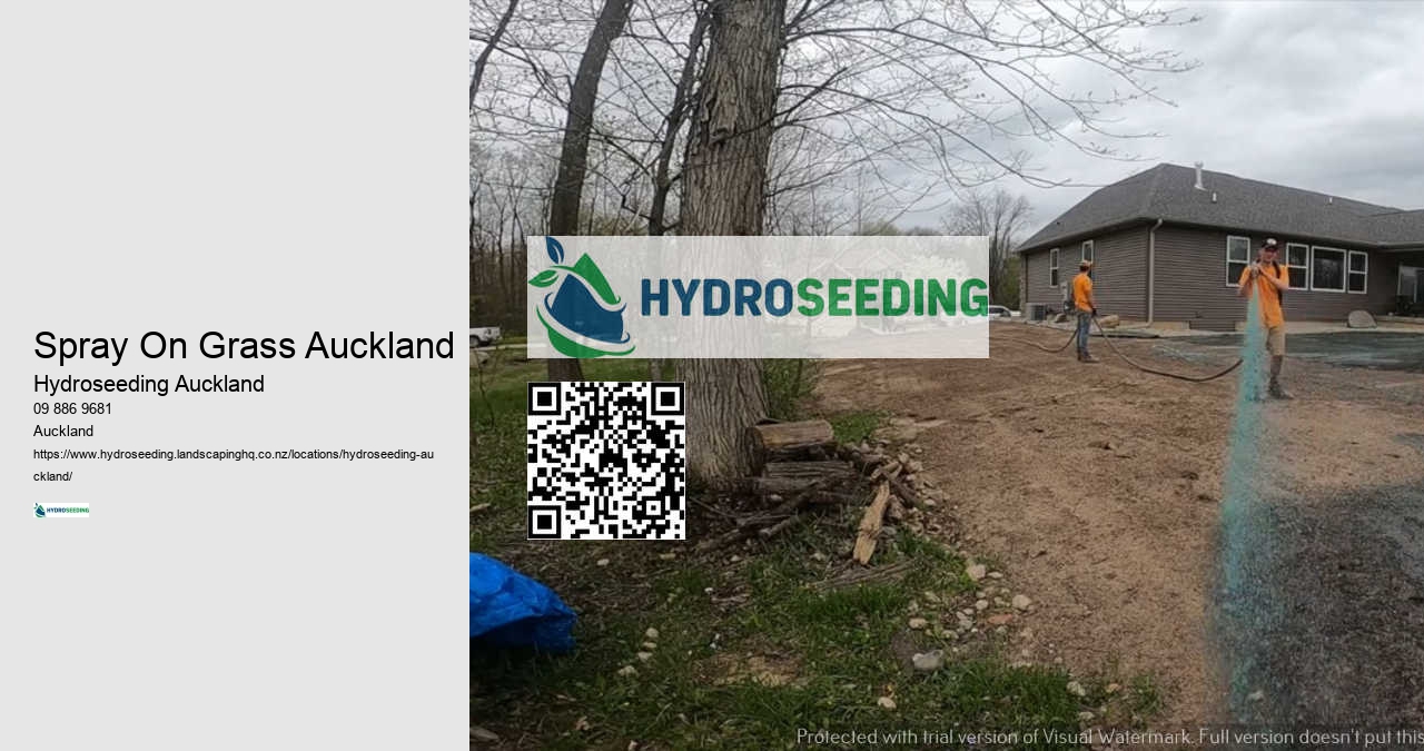 Hydroseeding Slope Management NZ