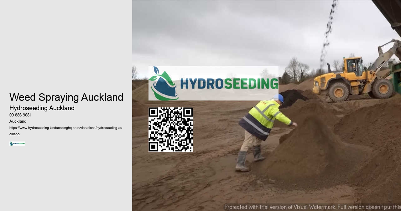 Hydroseeding Erosion Control NZ