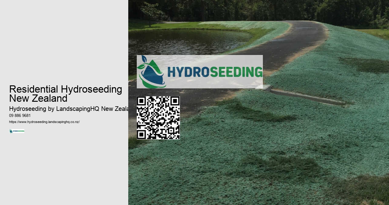 Slope Stabilisation With Hydroseeding New Zealand