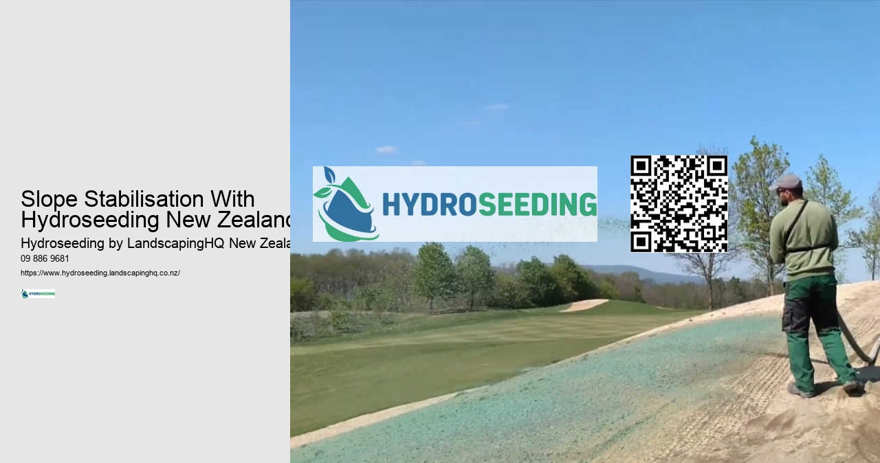 Slope Stabilisation With Hydroseeding New Zealand