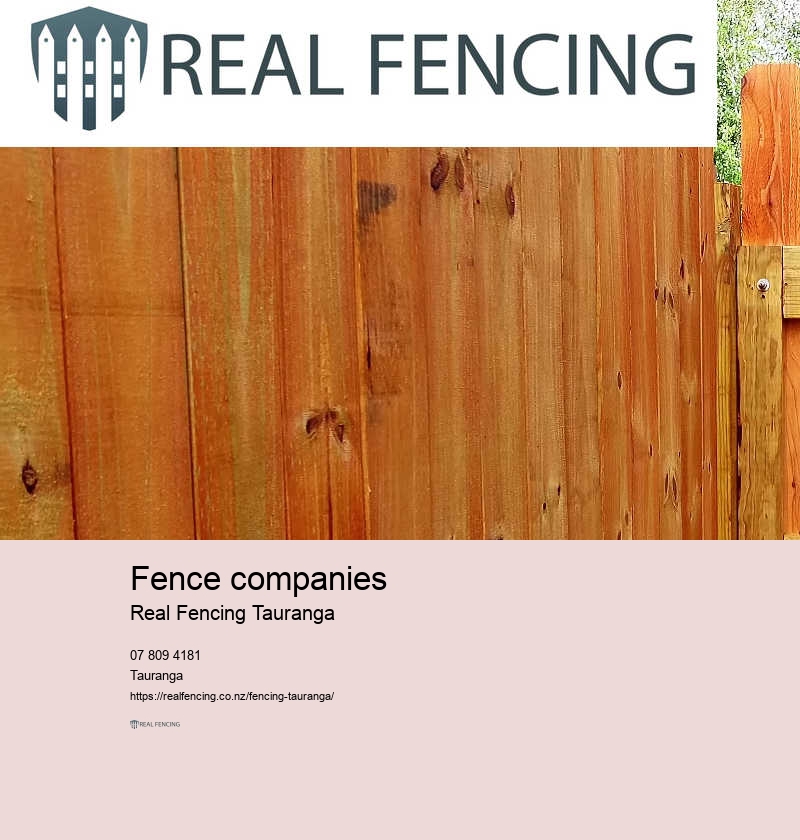 Tauranga fence repair