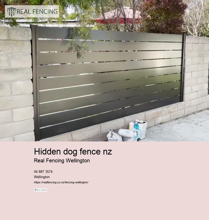 hidden dog fence nz