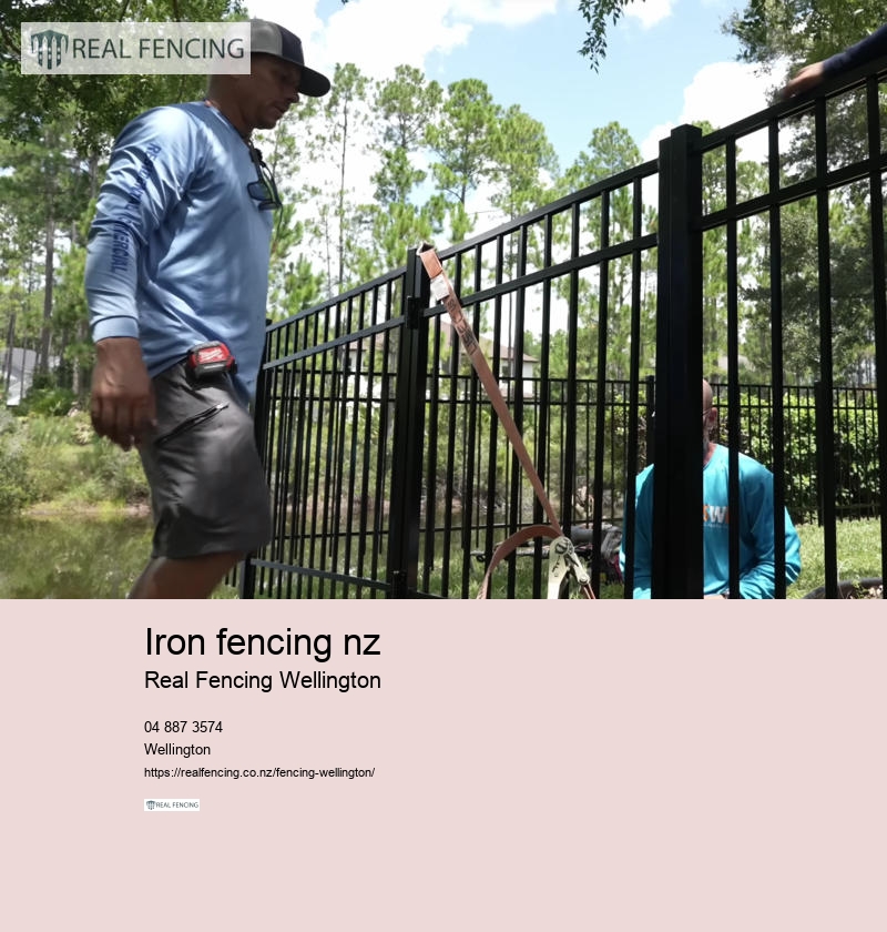iron fencing nz