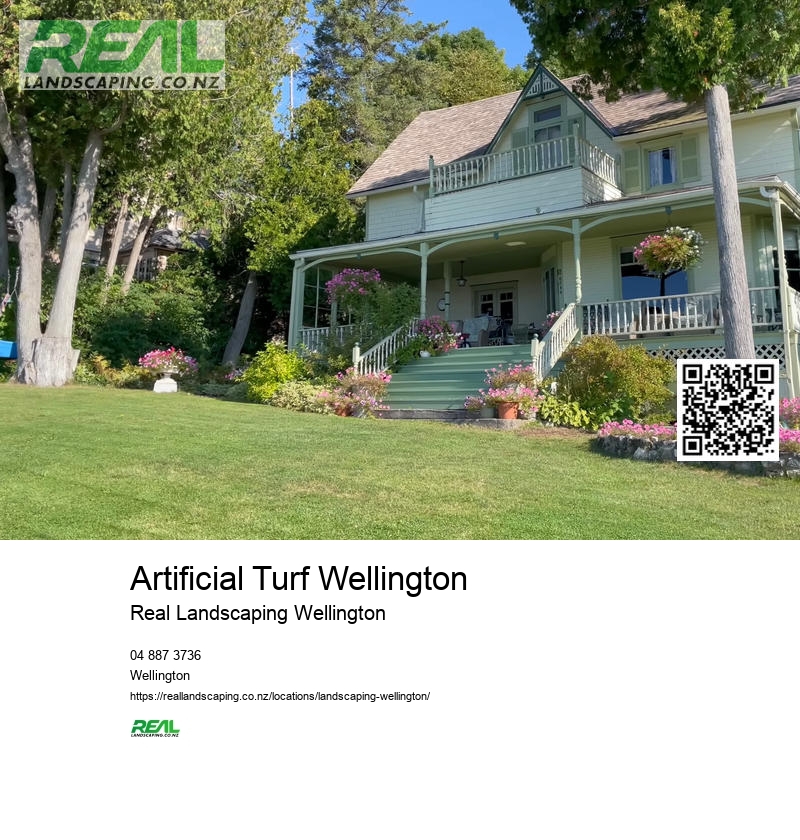 Artificial Grass Wellington NZ