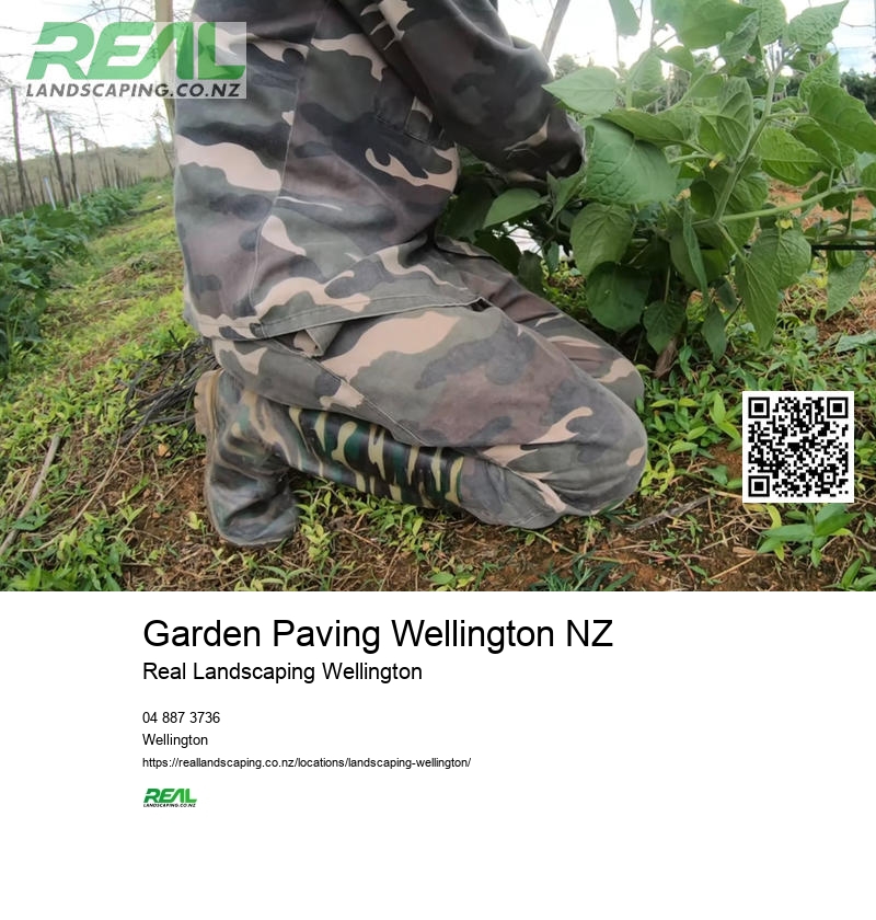 Synthetic Turf Wellington