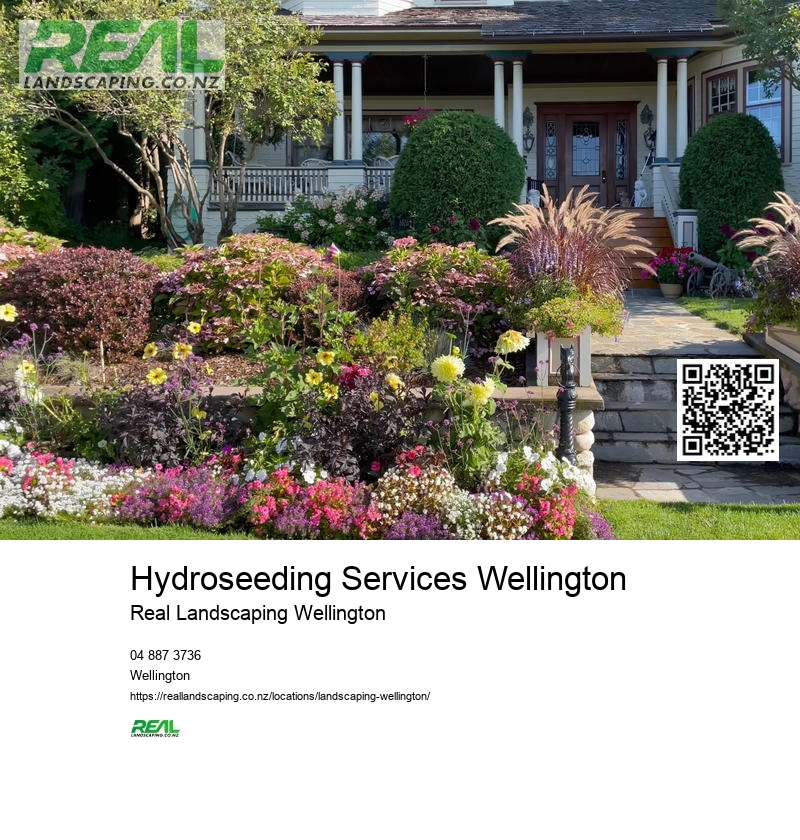 Hydroseeding Wellington NZ