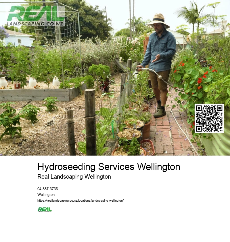 Affordable Landscaping Wellington