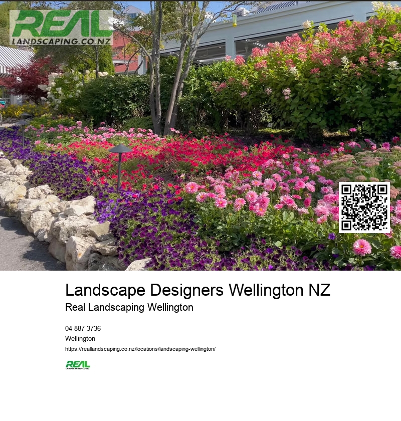 Hydroseeding Services Wellington