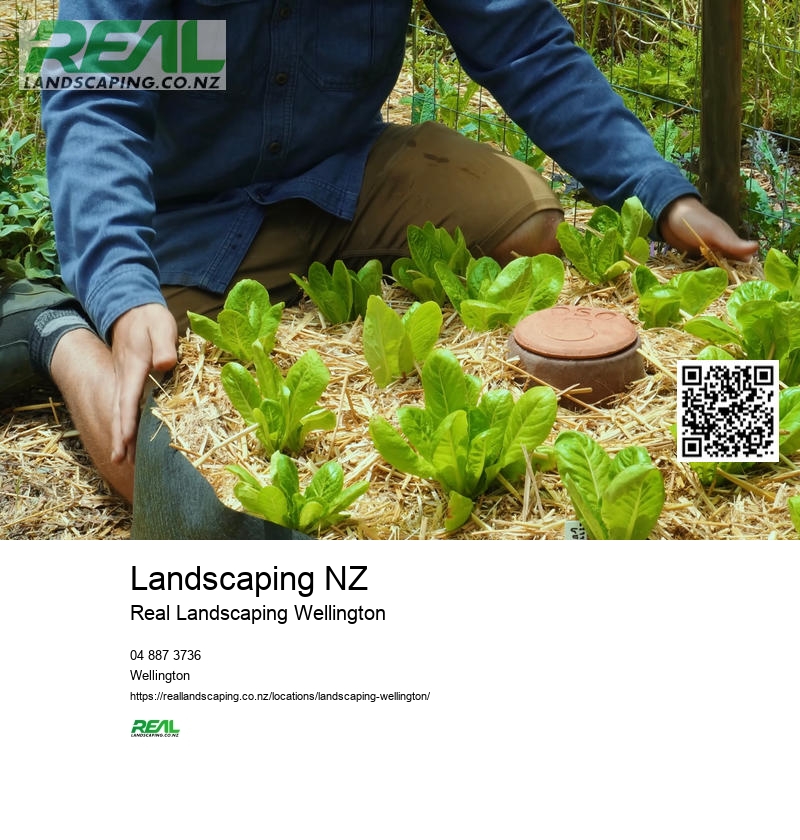 Landscape Designer Wellington