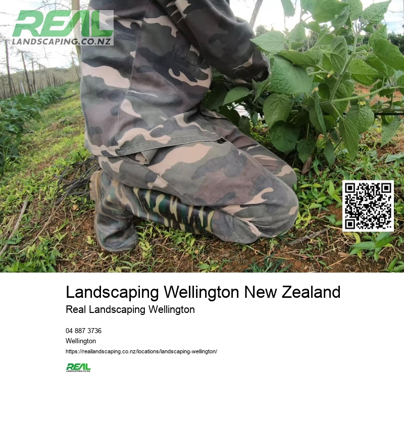 Wellington Garden Groundcover Planting