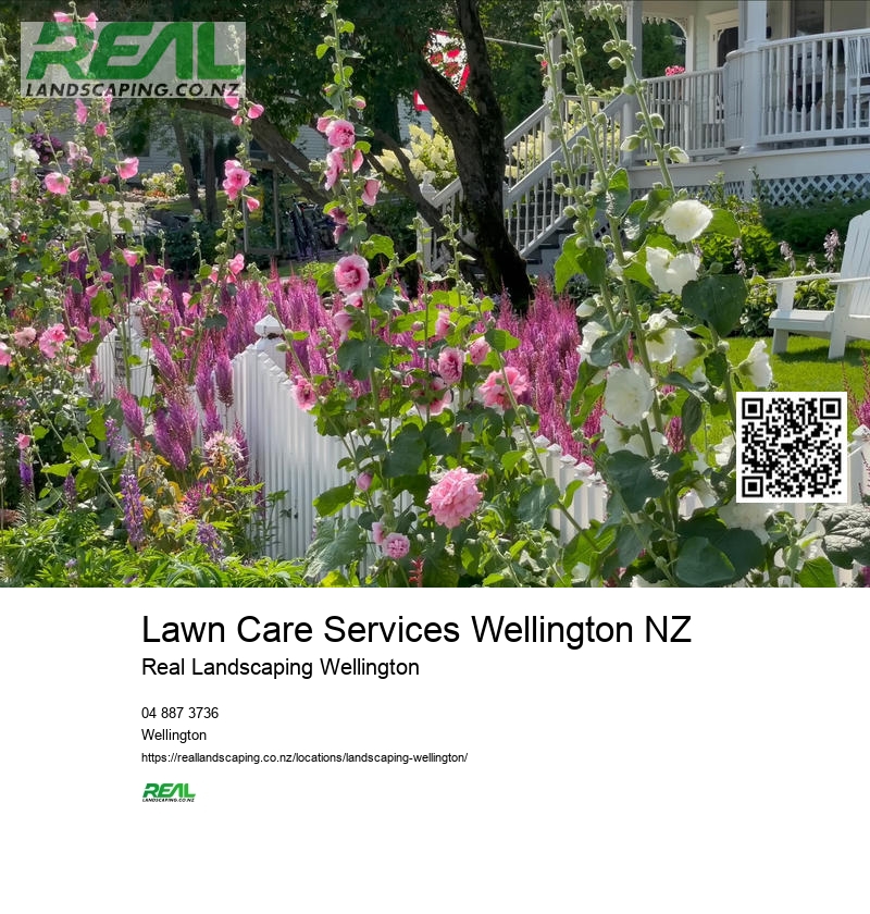 Artificial Grass Wellington