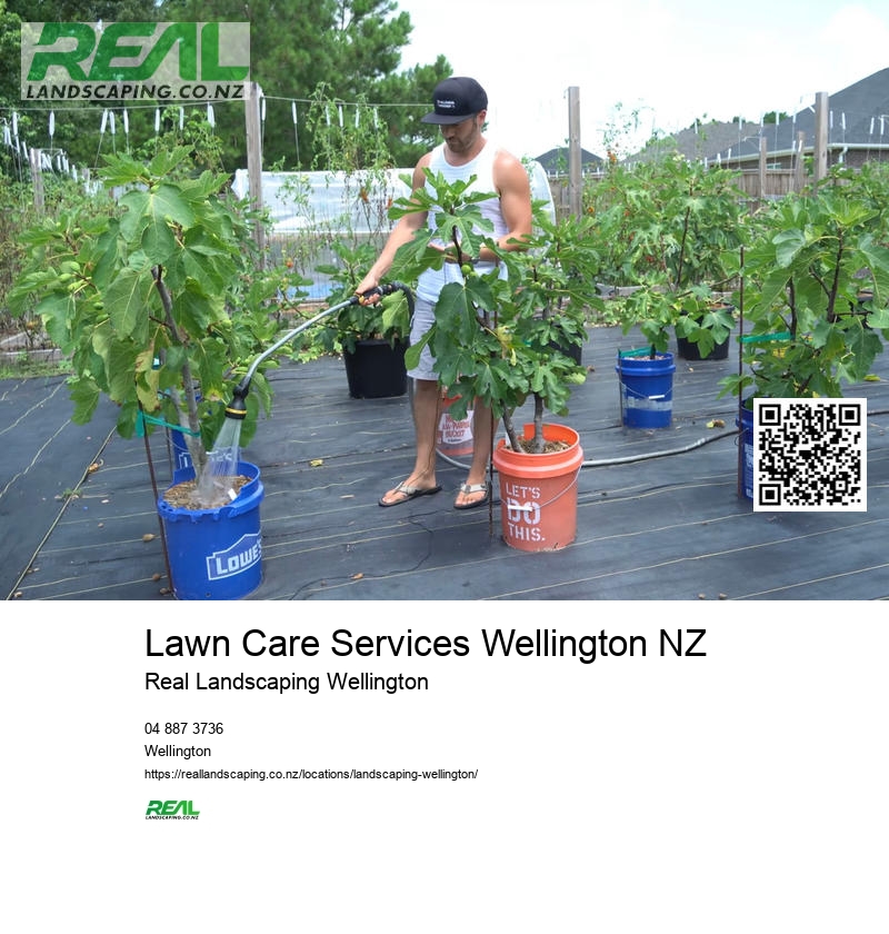 Landscape Maintenance Wellington NZ