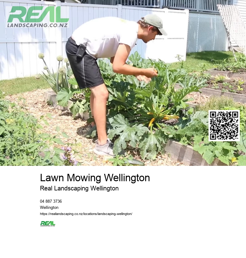 Lawn Mowing Wellington