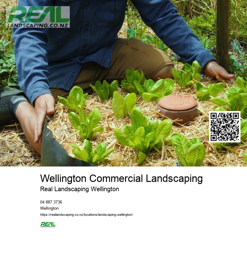 Wellington Garden Planning