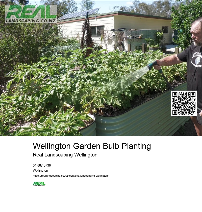 Gardening Services Wellington NZ