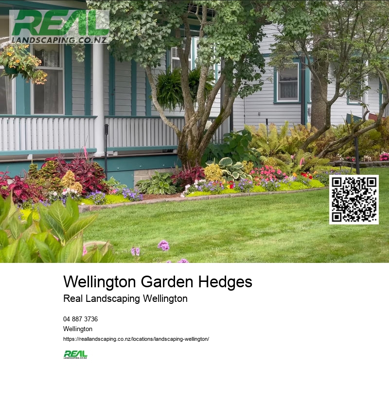 Landscape Architect In Wellington New Zealand