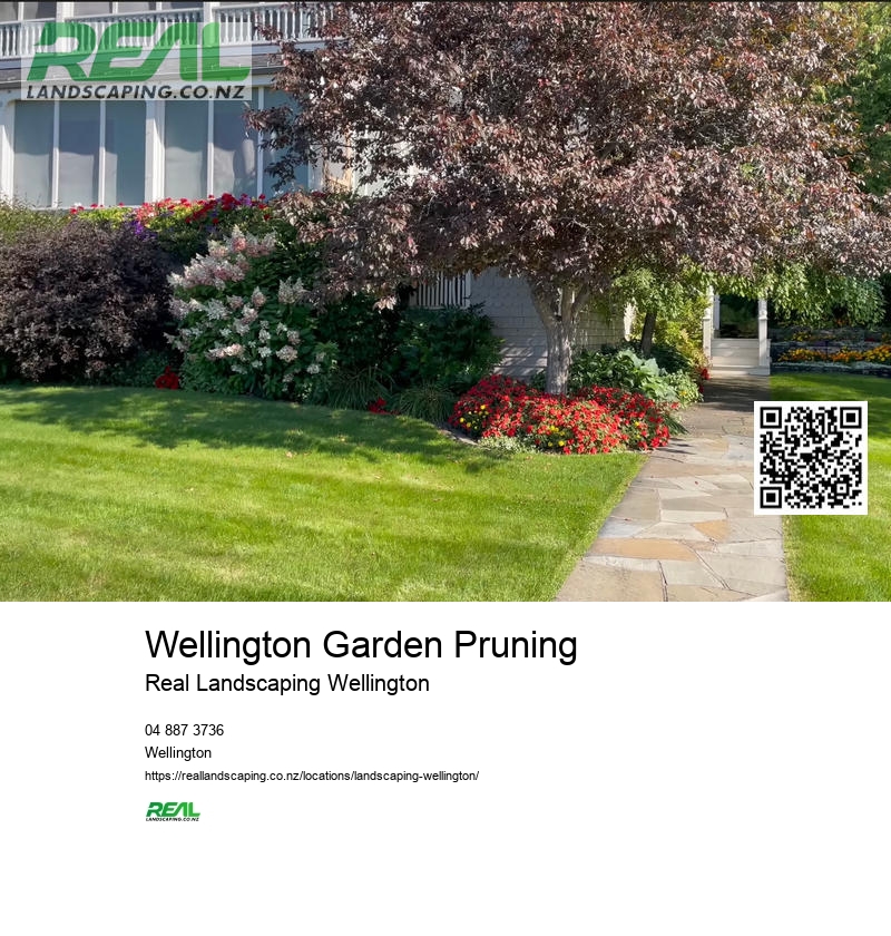 Irrigation Systems Wellington NZ