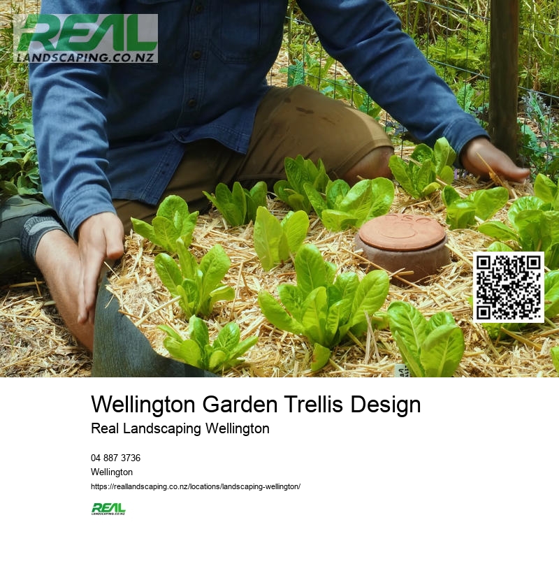 Landscape Gardeners Wellington