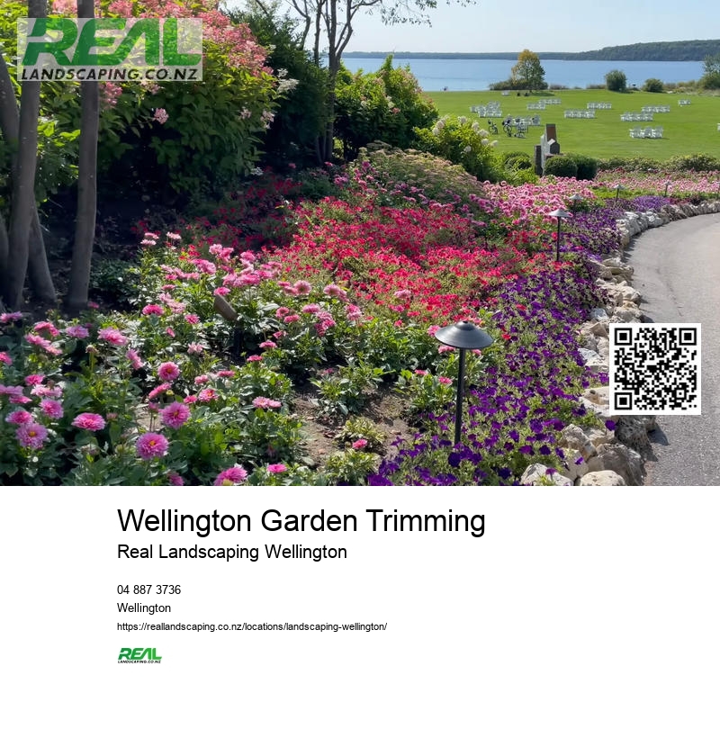 Landscaping Wellington NZ