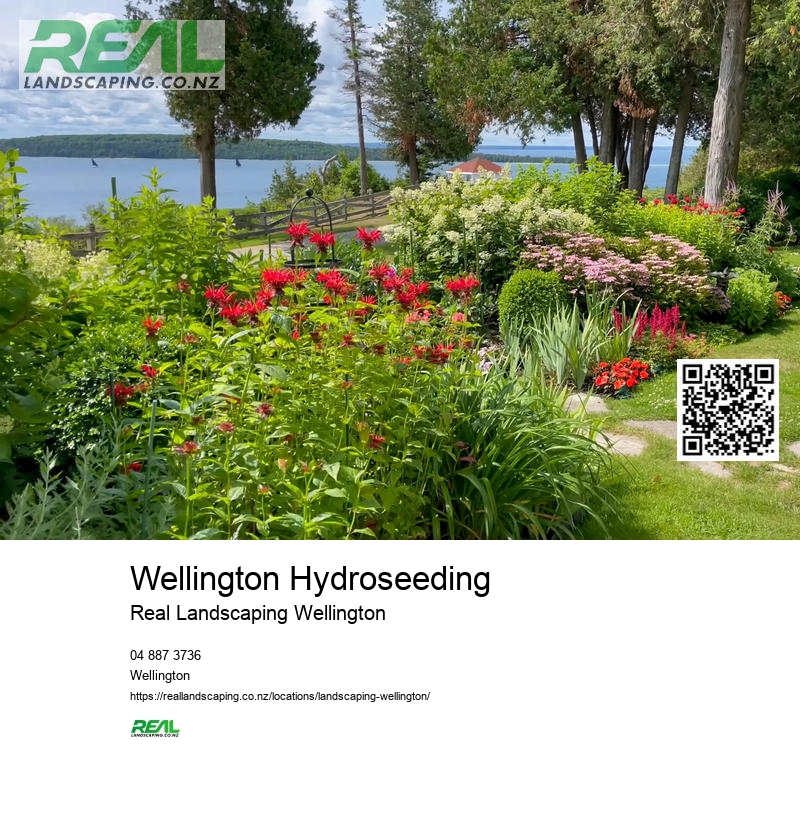 Lawn Care Wellington