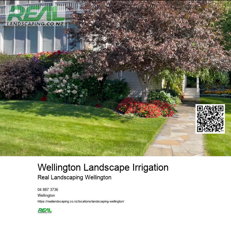 Wellington Landscape Architects