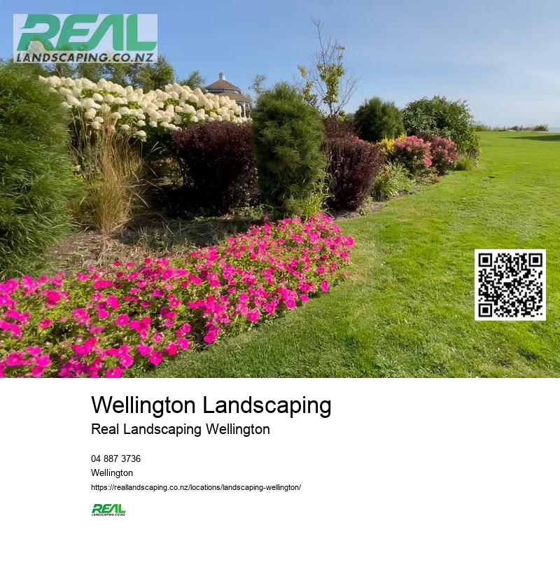 Landscape Gardener Wellington NZ