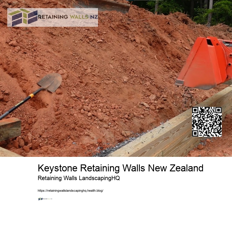 Wall Repair NZ