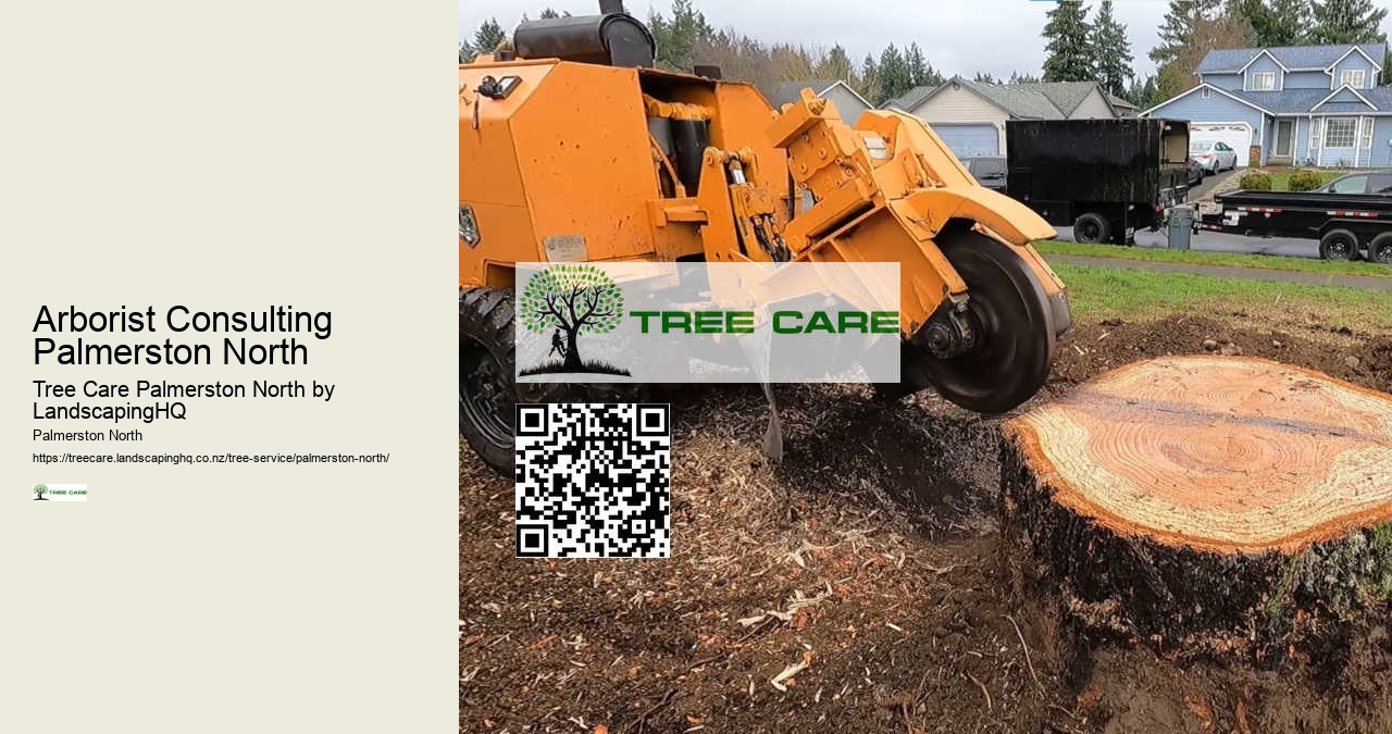 Affordable Tree Pruning Services Palmerston North