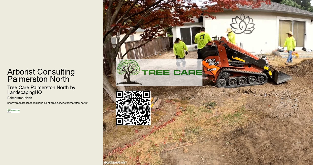 Local Tree Cutting Specialists Palmerston North