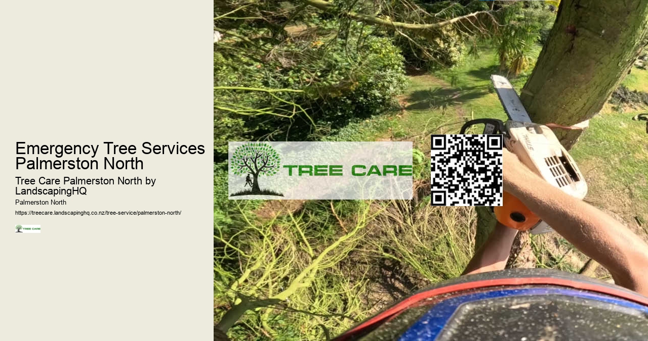 Emergency Tree Services Palmerston North