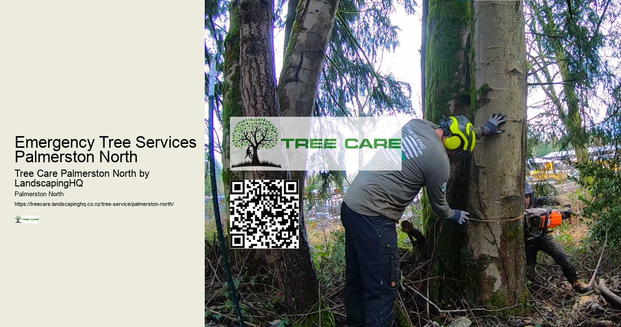 Reliable Hedge Trimming Palmerston North