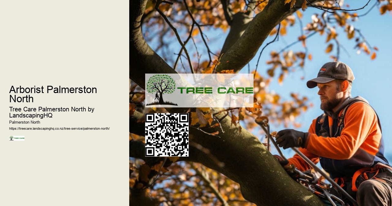 Affordable Tree Removal Palmerston North