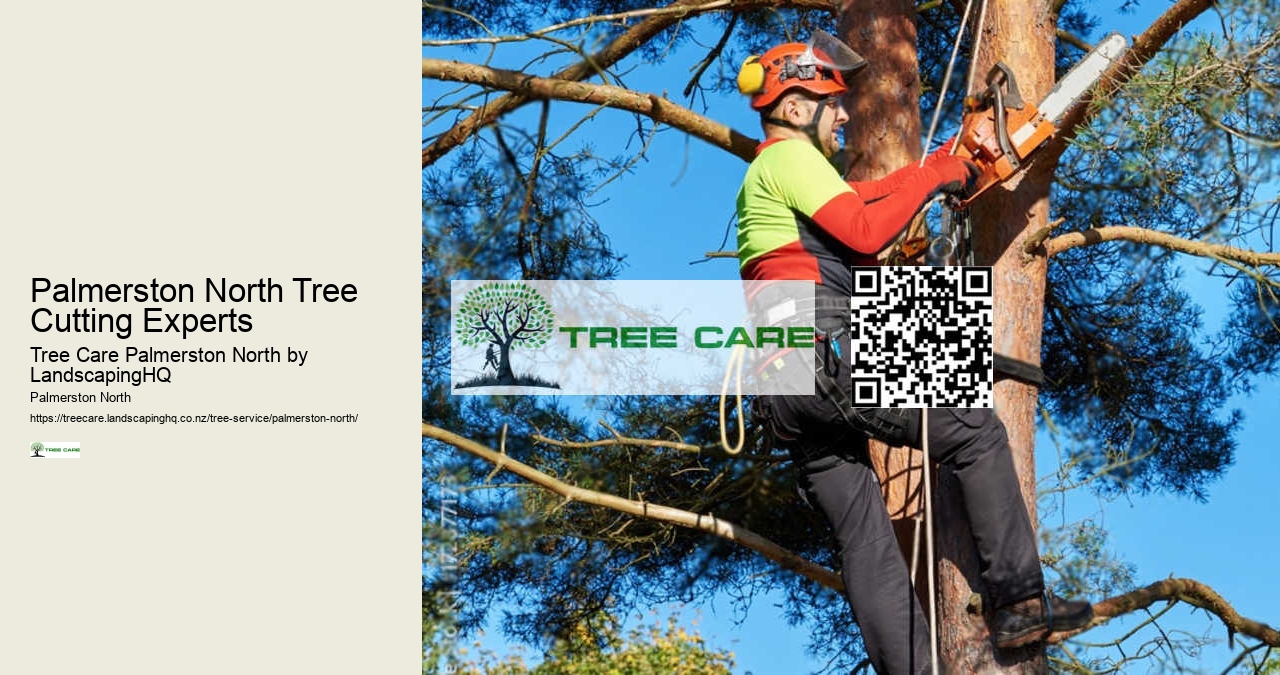 Palmerston North Tree Cutting Experts