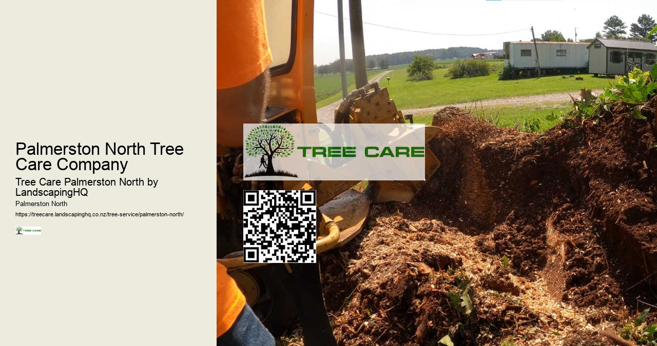 Affordable Stump Removal Palmerston North