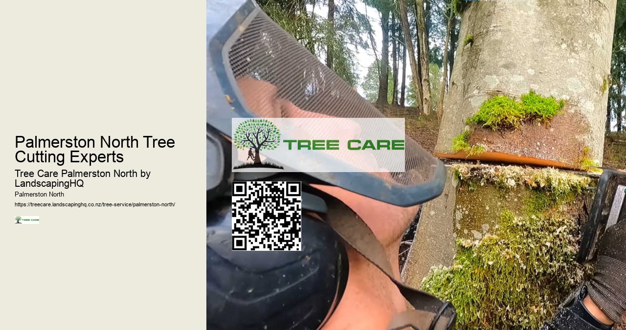 Emergency Tree Cleanup Palmerston North