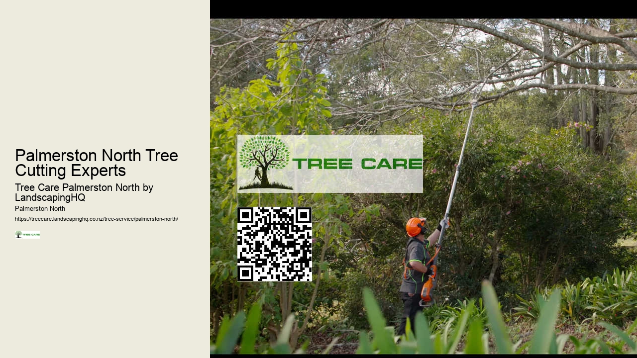 24/7 Emergency Tree Services Palmerston North