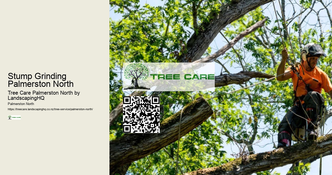 Affordable Tree Services Palmerston North