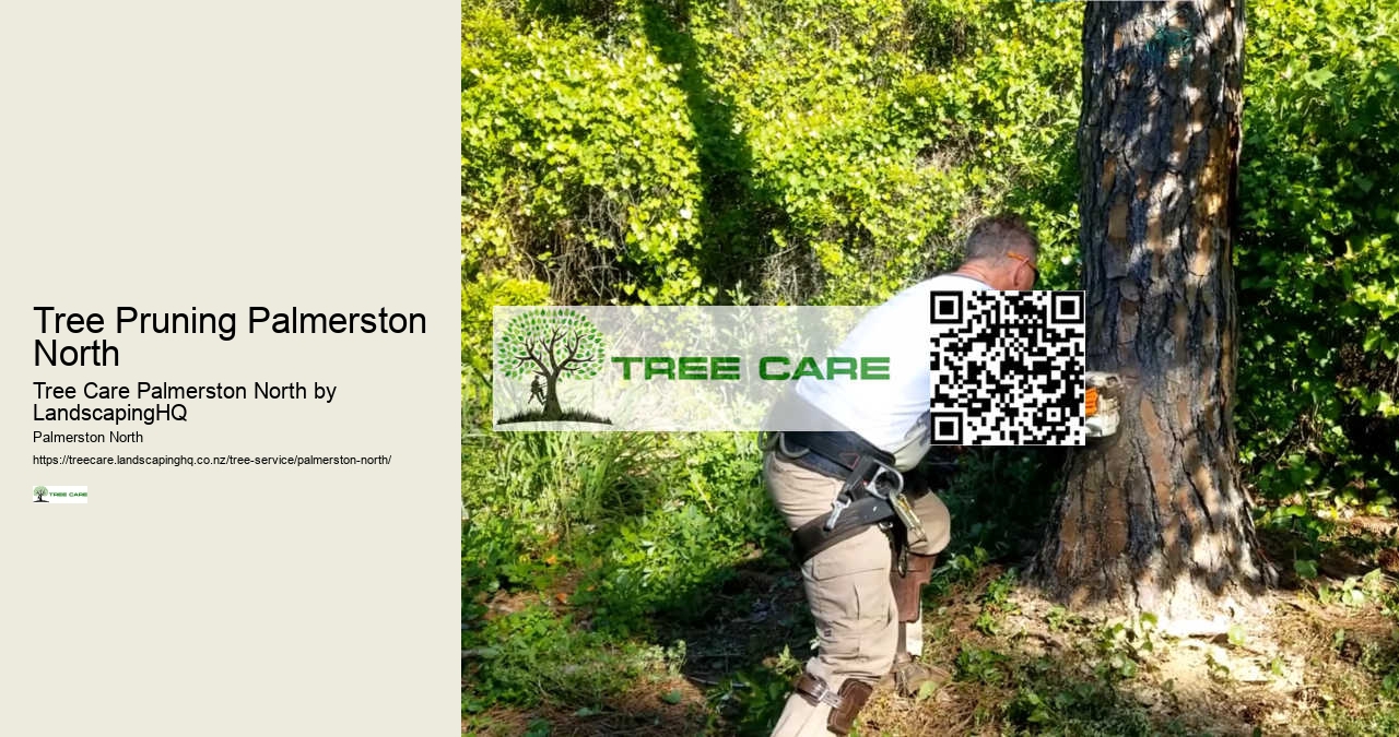 Tree Pruning Palmerston North